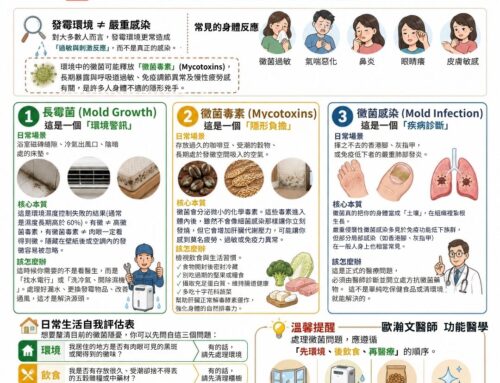 看到黴就等於生病？一次搞懂長霉菌、黴菌毒素與黴菌感染的差別