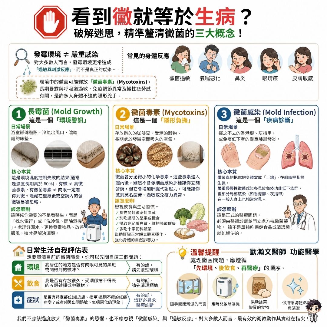 黴菌毒素